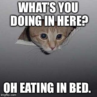 Ceiling Cat Meme | WHAT’S YOU DOING IN HERE? OH EATING IN BED. | image tagged in memes,ceiling cat | made w/ Imgflip meme maker