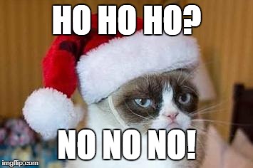 Christmas Grumpy Cat | HO HO HO? NO NO NO! | image tagged in christmas grumpy cat | made w/ Imgflip meme maker