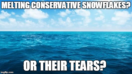After Moore's loss...it's hard to tell. | MELTING CONSERVATIVE SNOWFLAKES? OR THEIR TEARS? | image tagged in ocean,conservatives | made w/ Imgflip meme maker