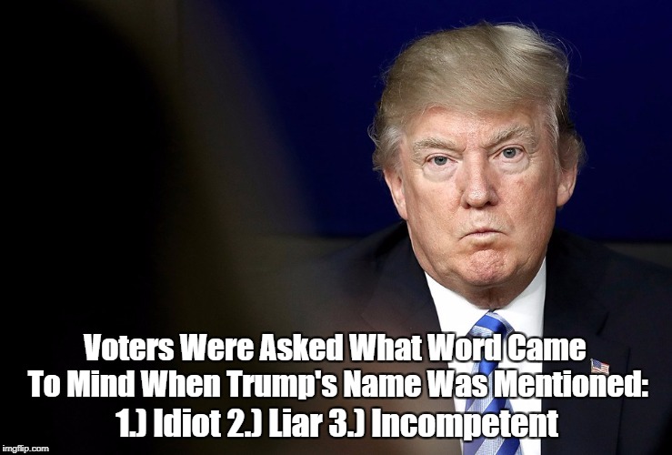 Voters Were Asked What Word Came To Mind When Trump's Name Was Mentioned: 1.) Idiot 2.) Liar 3.) Incompetent | made w/ Imgflip meme maker