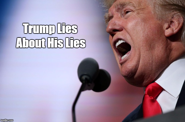 "Trump Lies About His Lies" | Trump Lies; About His Lies | image tagged in deplorable donald,despicable donald,devious donald,dishonorable donald,delusional donald,damnable donald | made w/ Imgflip meme maker