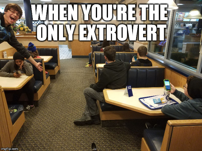 Image result for extrovert memes