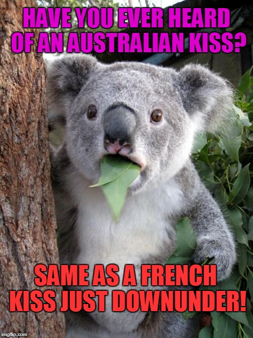 Surprised Koala | HAVE YOU EVER HEARD OF AN AUSTRALIAN KISS? SAME AS A FRENCH KISS JUST DOWNUNDER! | image tagged in memes,surprised koala | made w/ Imgflip meme maker