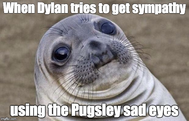 Awkward Moment Sealion Meme | When Dylan tries to get sympathy; using the Pugsley sad eyes | image tagged in memes,awkward moment sealion | made w/ Imgflip meme maker