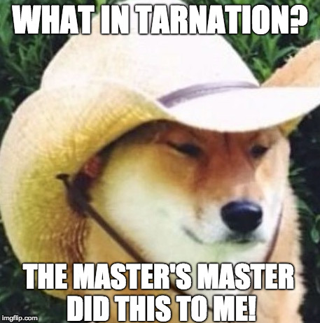 A Cowboy Cat?! |  WHAT IN TARNATION? THE MASTER'S MASTER DID THIS TO ME! | image tagged in wot in tarnation,memes,dogs,what in tarnation dog | made w/ Imgflip meme maker