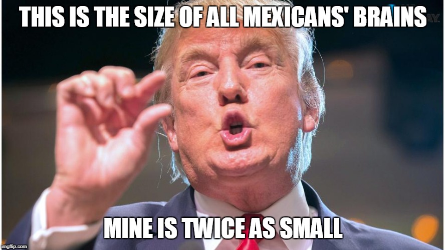 Mexicans are... | THIS IS THE SIZE OF ALL MEXICANS' BRAINS; MINE IS TWICE AS SMALL | image tagged in donald trump small brain | made w/ Imgflip meme maker