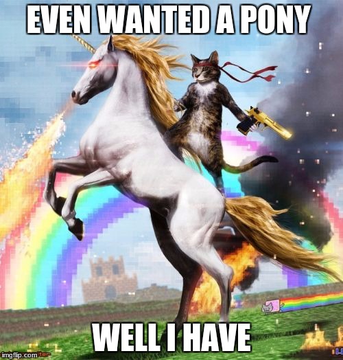 Welcome To The Internets Meme | EVEN WANTED A PONY; WELL I HAVE | image tagged in memes,welcome to the internets | made w/ Imgflip meme maker