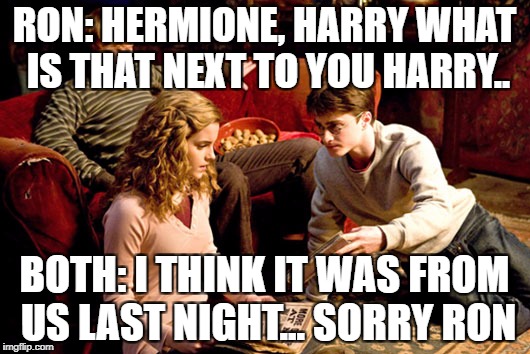 Harry potter | RON: HERMIONE, HARRY WHAT IS THAT NEXT TO YOU HARRY.. BOTH: I THINK IT WAS FROM US LAST NIGHT... SORRY RON | image tagged in harry potter | made w/ Imgflip meme maker