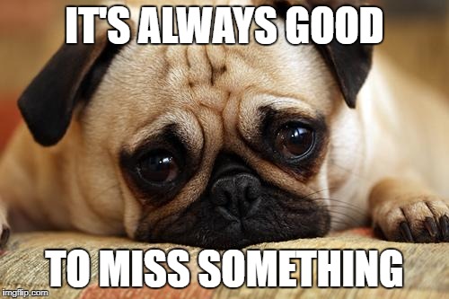 sad pug | IT'S ALWAYS GOOD; TO MISS SOMETHING | image tagged in sad pug | made w/ Imgflip meme maker