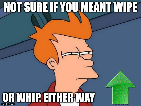 Futurama Fry Meme | NOT SURE IF YOU MEANT WIPE OR WHIP. EITHER WAY | image tagged in memes,futurama fry | made w/ Imgflip meme maker