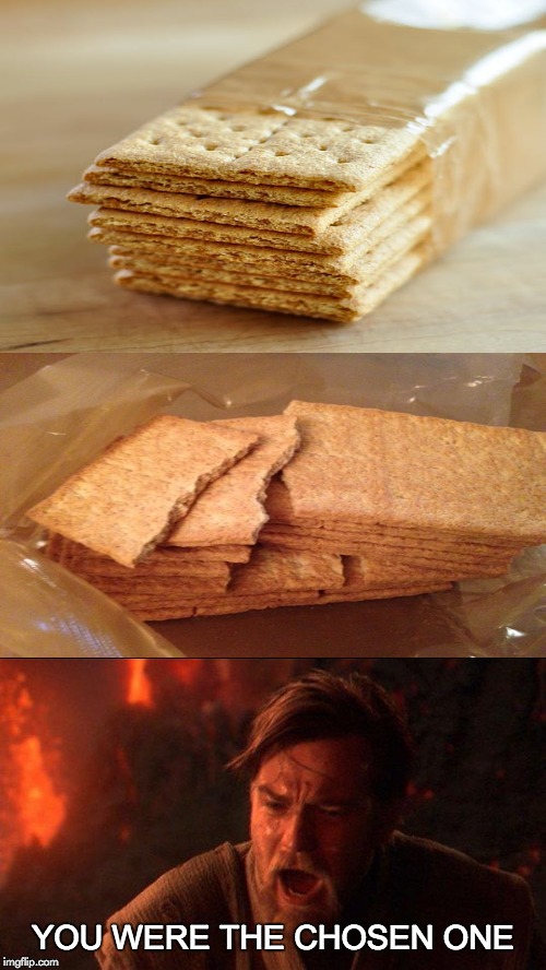 When all the Graham Crackers in the package are broken | YOU WERE THE CHOSEN ONE | image tagged in you were the chosen one star wars | made w/ Imgflip meme maker
