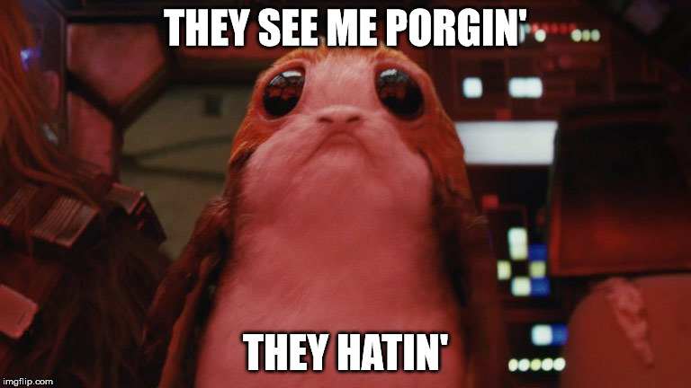 Porg Life | THEY SEE ME PORGIN'; THEY HATIN' | image tagged in porg,they see me rolling,star wars,the last jedi | made w/ Imgflip meme maker