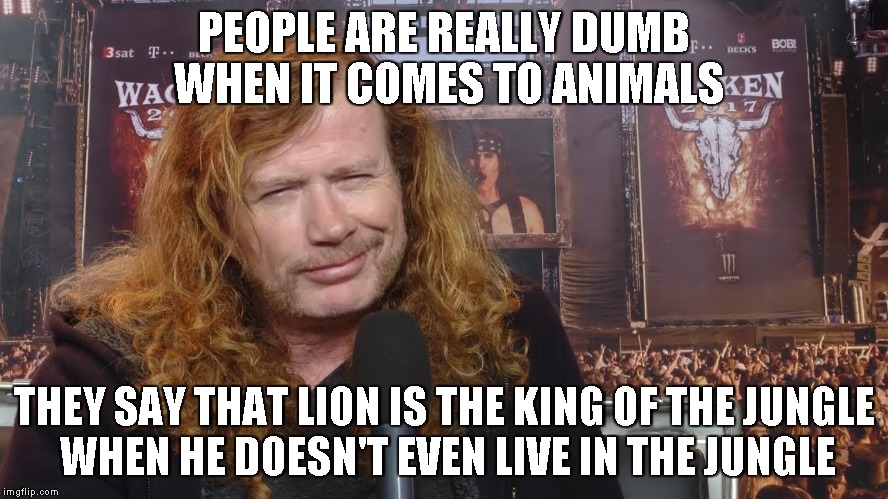 PEOPLE ARE REALLY DUMB WHEN IT COMES TO ANIMALS THEY SAY THAT LION IS THE KING OF THE JUNGLE WHEN HE DOESN'T EVEN LIVE IN THE JUNGLE | made w/ Imgflip meme maker