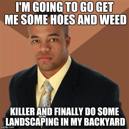 Successful Black Man |  I'M GOING TO GO GET ME SOME HOES AND WEED; KILLER AND FINALLY DO SOME LANDSCAPING IN MY BACKYARD | image tagged in memes,successful black man | made w/ Imgflip meme maker