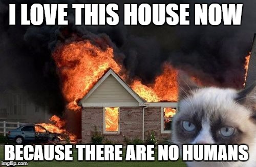 Burn Kitty | I LOVE THIS HOUSE NOW; BECAUSE THERE ARE NO HUMANS | image tagged in memes,burn kitty,grumpy cat | made w/ Imgflip meme maker