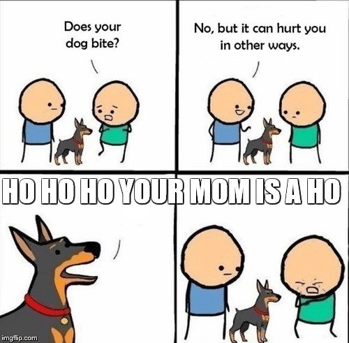 does your dog bite | HO HO HO YOUR MOM IS A HO | image tagged in does your dog bite | made w/ Imgflip meme maker