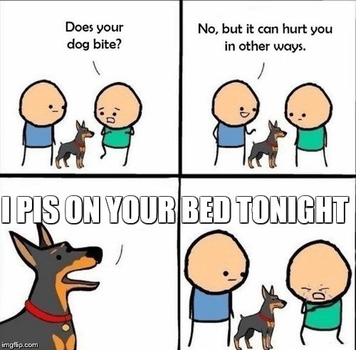 does your dog bite | I PIS ON YOUR BED TONIGHT | image tagged in does your dog bite | made w/ Imgflip meme maker