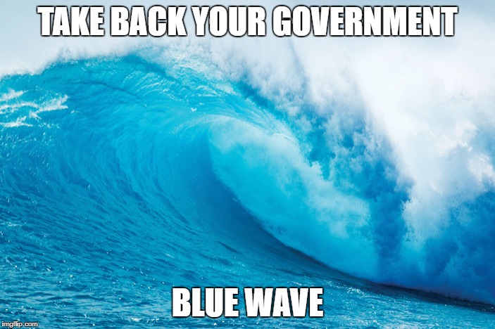 TAKE BACK YOUR GOVERNMENT; BLUE WAVE | image tagged in takebackyourgovernment | made w/ Imgflip meme maker
