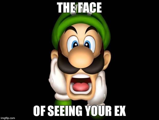 WTF Luigi | THE FACE; OF SEEING YOUR EX | image tagged in wtf luigi | made w/ Imgflip meme maker