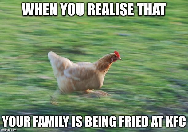 Fast Running Chicken | WHEN YOU REALISE THAT; YOUR FAMILY IS BEING FRIED AT KFC | image tagged in fast running chicken | made w/ Imgflip meme maker