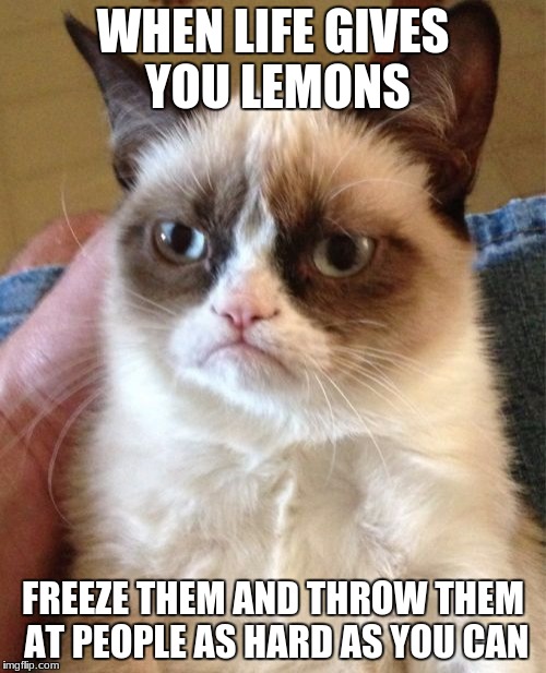Grumpy Cat Meme | WHEN LIFE GIVES YOU LEMONS; FREEZE THEM AND THROW THEM AT PEOPLE AS HARD AS YOU CAN | image tagged in memes,grumpy cat | made w/ Imgflip meme maker