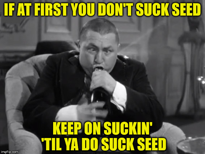 Curly Howard . . . Philosopher, Philanthropist, Stooge | IF AT FIRST YOU DON'T SUCK SEED; KEEP ON SUCKIN' 'TIL YA DO SUCK SEED | image tagged in curly,memes,three stooges,philosoraptor,what if i told you | made w/ Imgflip meme maker