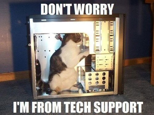 RayCat in Technical Support  Blank Meme Template