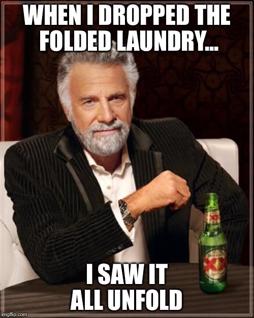 The Most Interesting Man In The World | WHEN I DROPPED THE FOLDED LAUNDRY... I SAW IT ALL UNFOLD | image tagged in memes,the most interesting man in the world | made w/ Imgflip meme maker