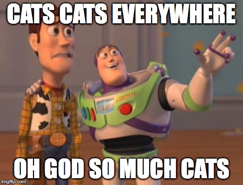 X, X Everywhere Meme | CATS CATS EVERYWHERE; OH GOD SO MUCH CATS | image tagged in memes,x x everywhere | made w/ Imgflip meme maker
