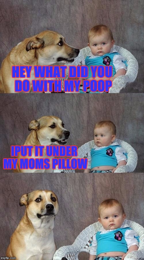 Dad Joke Dog Meme | HEY WHAT DID YOU DO WITH MY POOP; IPUT IT UNDER MY MOMS PILLOW | image tagged in memes,dad joke dog | made w/ Imgflip meme maker