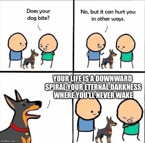 does your dog bite | YOUR LIFE IS A DOWNWARD SPIRAL YOUR ETERNAL DARKNESS WHERE YOU'LL NEVER WAKE | image tagged in does your dog bite | made w/ Imgflip meme maker