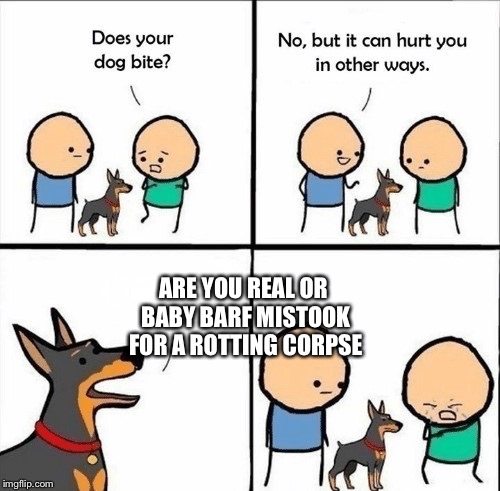 does your dog bite | ARE YOU REAL OR BABY BARF MISTOOK FOR A ROTTING CORPSE | image tagged in does your dog bite | made w/ Imgflip meme maker