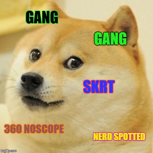 Doge Meme | GANG; GANG; SKRT; 360 NOSCOPE; NERD SPOTTED | image tagged in memes,doge | made w/ Imgflip meme maker