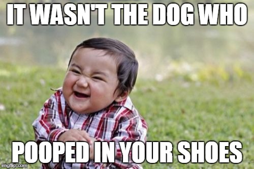 Evil Toddler Meme | IT WASN'T THE DOG WHO; POOPED IN YOUR SHOES | image tagged in memes,evil toddler | made w/ Imgflip meme maker