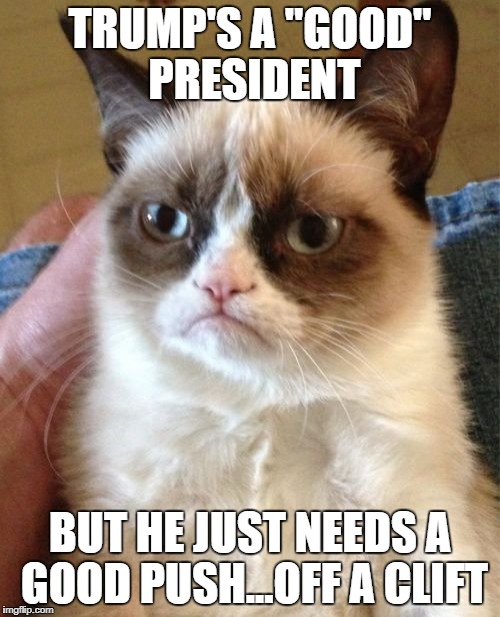 Grumpy Cat | TRUMP'S A "GOOD" PRESIDENT; BUT HE JUST NEEDS A GOOD PUSH...OFF A CLIFT | image tagged in memes,grumpy cat | made w/ Imgflip meme maker