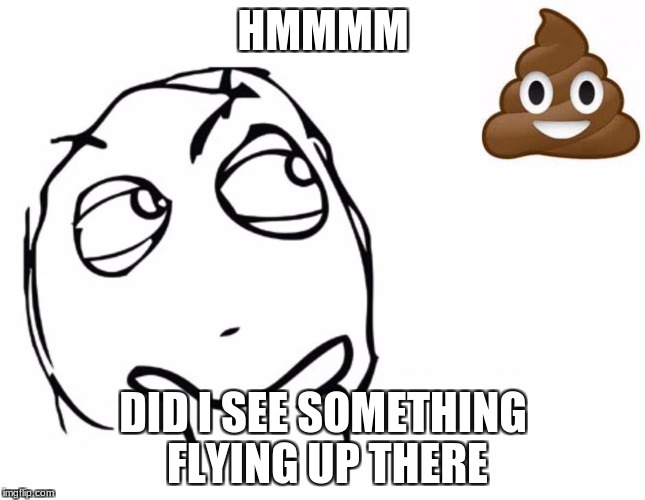 hmmm | HMMMM; DID I SEE SOMETHING FLYING UP THERE | image tagged in hmmm | made w/ Imgflip meme maker