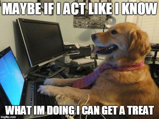 i have no idea | MAYBE IF I ACT LIKE I KNOW; WHAT IM DOING I CAN GET A TREAT | image tagged in i have no idea | made w/ Imgflip meme maker