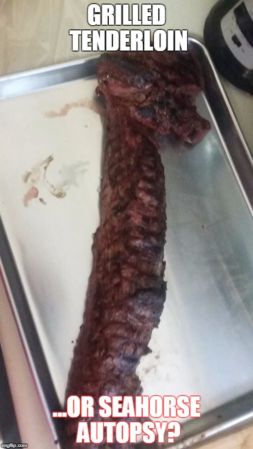 Seahorse Autopsy | GRILLED TENDERLOIN; ...OR SEAHORSE AUTOPSY? | image tagged in meat,where's the beef,seahorse | made w/ Imgflip meme maker