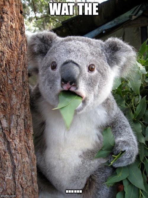 Surprised Koala Meme | WAT THE; ...... | image tagged in memes,surprised koala | made w/ Imgflip meme maker