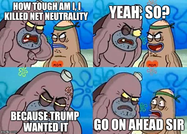 How tough are you? |  YEAH, SO? HOW TOUGH AM I, I KILLED NET NEUTRALITY; BECAUSE TRUMP WANTED IT; GO ON AHEAD SIR | image tagged in how tough are you | made w/ Imgflip meme maker