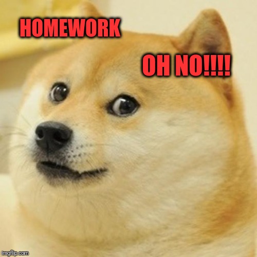 Doge Meme | HOMEWORK; OH NO!!!! | image tagged in memes,doge | made w/ Imgflip meme maker