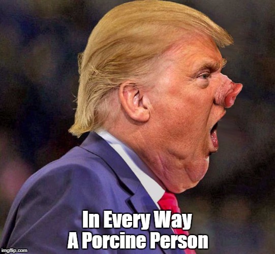 In Every Way A Porcine Person | made w/ Imgflip meme maker
