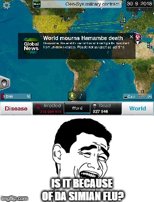 Uninteresting Harambe death | IS IT BECAUSE OF
DA SIMIAN FLU? | image tagged in harambe,rip harambe | made w/ Imgflip meme maker