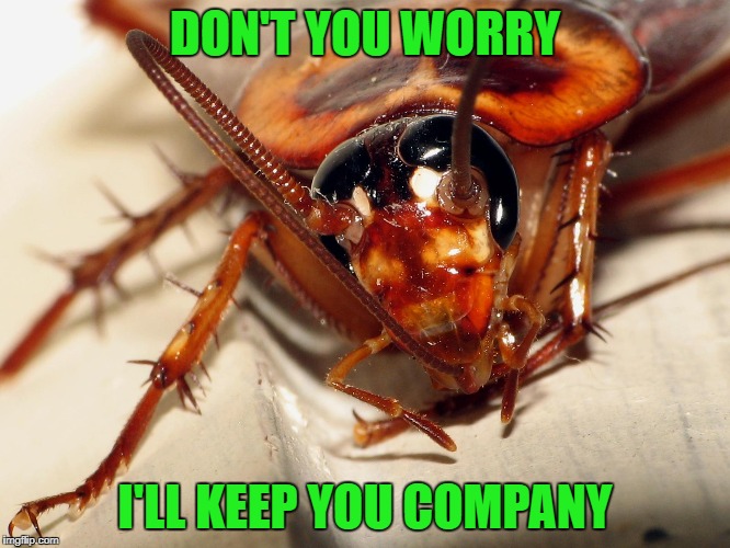 DON'T YOU WORRY I'LL KEEP YOU COMPANY | made w/ Imgflip meme maker