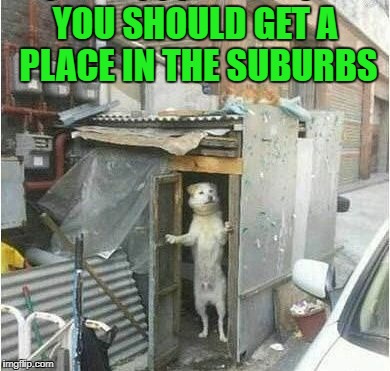 YOU SHOULD GET A PLACE IN THE SUBURBS | made w/ Imgflip meme maker