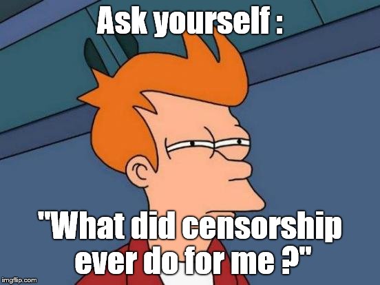 Futurama Fry Meme | Ask yourself : "What did censorship ever do for me ?" | image tagged in memes,futurama fry | made w/ Imgflip meme maker