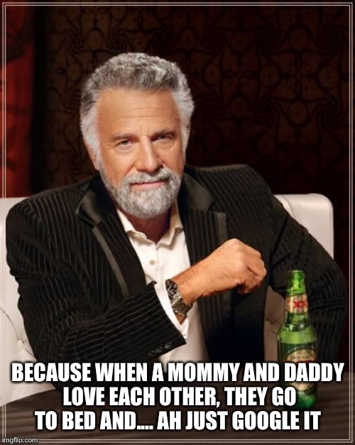 The Most Interesting Man In The World Meme | BECAUSE WHEN A MOMMY AND DADDY LOVE EACH OTHER, THEY GO TO BED AND.... AH JUST GOOGLE IT | image tagged in memes,the most interesting man in the world | made w/ Imgflip meme maker