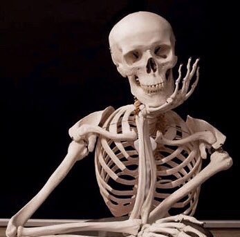 Waiting Skeleton Meme - Imgflip