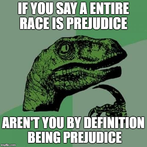 Philosoraptor Meme | IF YOU SAY A ENTIRE RACE IS PREJUDICE AREN'T YOU BY DEFINITION BEING PREJUDICE | image tagged in memes,philosoraptor | made w/ Imgflip meme maker