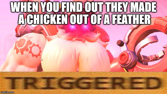 Your making a chicken out of a feather | WHEN YOU FIND OUT THEY MADE A CHICKEN OUT OF A FEATHER | image tagged in overwatch | made w/ Imgflip meme maker